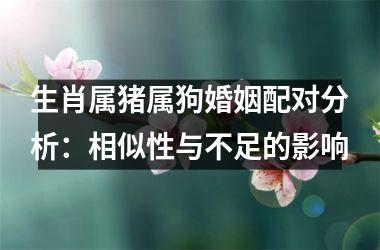 <h3>生肖属猪属狗婚姻配对分析：相似性与不足的影响