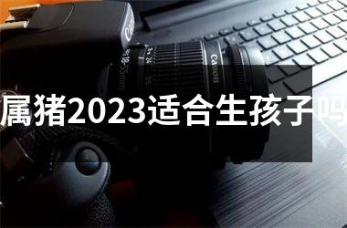 <h3>属猪2025适合生孩子吗