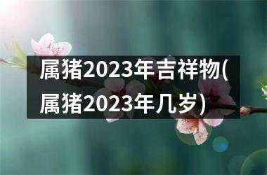 属猪2023年吉祥物(属猪2023年几岁)