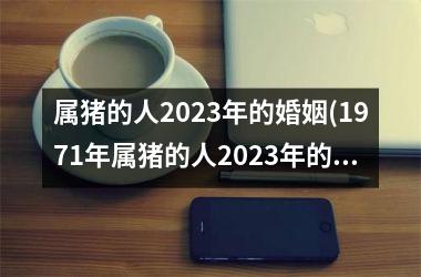 属猪的人2025年的婚姻(1971年属猪的人2025年的婚姻)