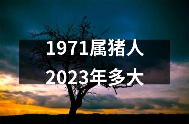 1971属猪人2025年多大