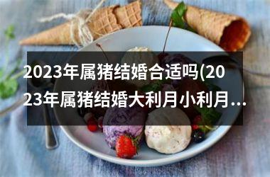 2025年属猪结婚合适吗(2025年属猪结婚大利月小利月)