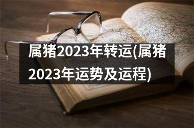 属猪2025年转运(属猪2025年运势及运程)