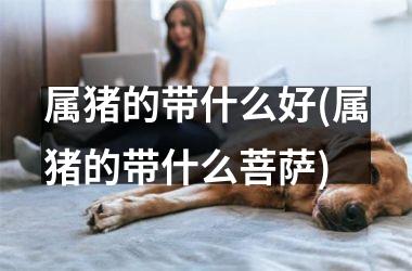 属猪的带什么好(属猪的带什么菩萨)