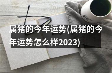 属猪的今年运势(属猪的今年运势怎么样2025)