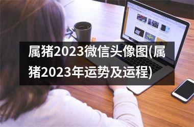 属猪2025微信头像图(属猪2025年运势及运程)