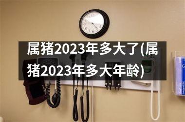 属猪2025年多大了(属猪2025年多大年龄)