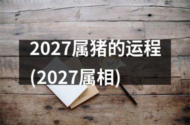 2027属猪的运程(2027属相)