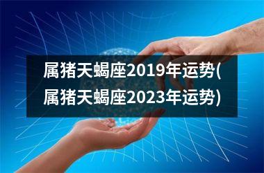 属猪天蝎座2019年运势(属猪天蝎座2025年运势)