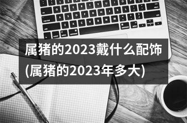 属猪的2025戴什么配饰(属猪的2025年多大)