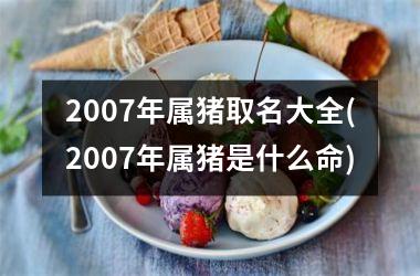 2007年属猪取名大全(2007年属猪是什么命)