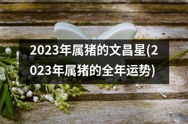 2025年属猪的文昌星(2025年属猪的全年运势)