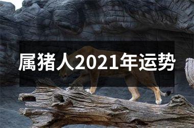 属猪人2025年运势