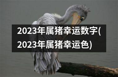 2025年属猪幸运数字(2025年属猪幸运色)