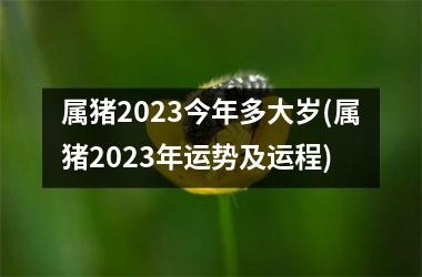 属猪2025今年多大岁(属猪2025年运势及运程)