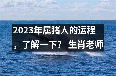 2025年属猪人的运程，了解一下？ 生肖老师