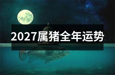 2027属猪全年运势