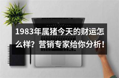 1983年属猪今天的财运怎么样？营销专家给你分析！