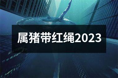 属猪带红绳2025