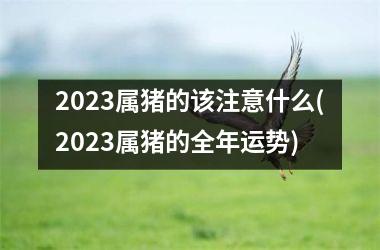 <h3>2025属猪的该注意什么(2025属猪的全年运势)