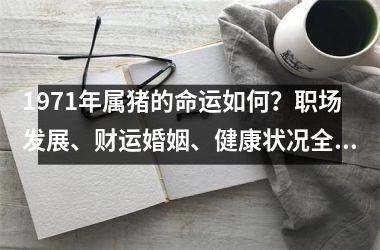 1971年属猪的命运如何？职场发展、财运婚姻、健康状况全面解析