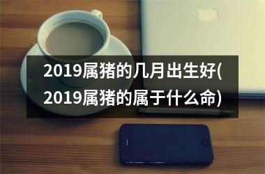 2019属猪的几月出生好(2019属猪的属于什么命)