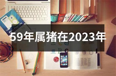 <h3>59年属猪在2025年