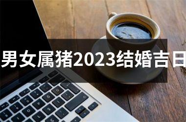 男女属猪2025结婚吉日