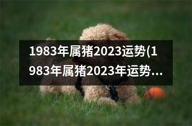 1983年属猪2025运势(1983年属猪2025年运势)