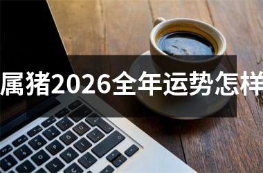 <h3>属猪2026全年运势怎样