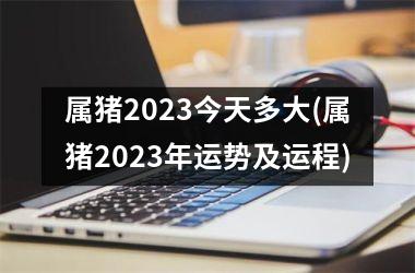 属猪2025今天多大(属猪2025年运势及运程)