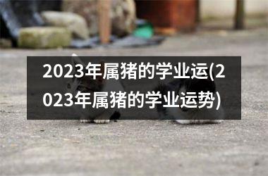 2025年属猪的学业运(2025年属猪的学业运势)