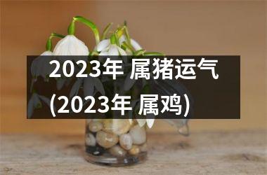 2025年 属猪运气(2025年 属鸡)