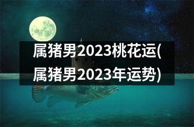 属猪男2025桃花运(属猪男2025年运势)