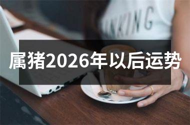 属猪2026年以后运势