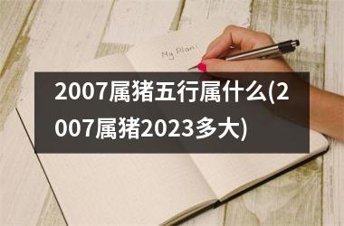 2007属猪五行属什么(2007属猪2025多大)