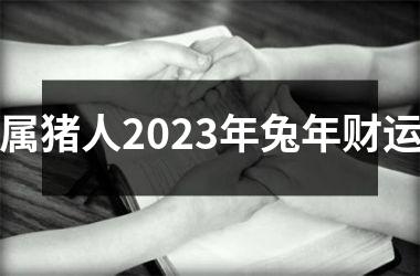 属猪人2025年兔年财运