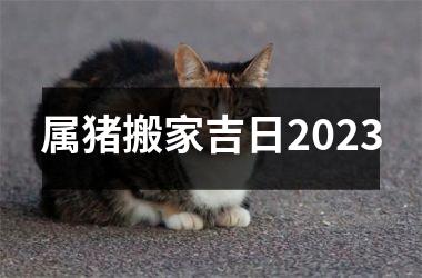 属猪搬家吉日2025