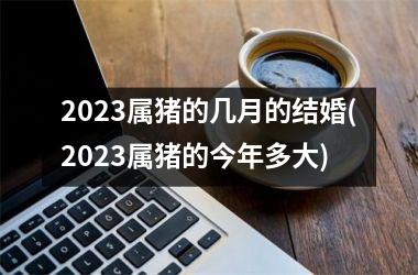 2025属猪的几月的结婚(2025属猪的今年多大)