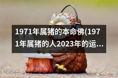 <h3>1971年属猪的本命佛(1971年属猪的人2025年的运势及运程)