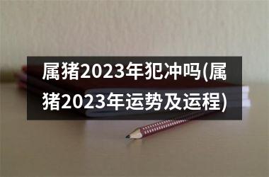 属猪2025年犯冲吗(属猪2025年运势及运程)