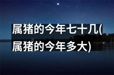 属猪的今年七十几(属猪的今年多大)