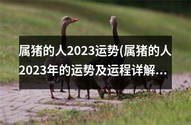 属猪的人2025运势(属猪的人2025年的运势及运程详解)