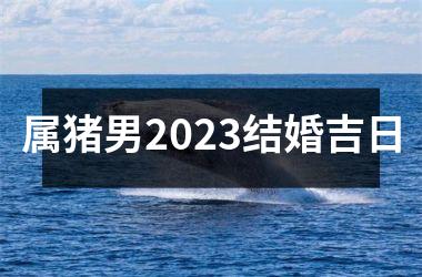 属猪男2025结婚吉日