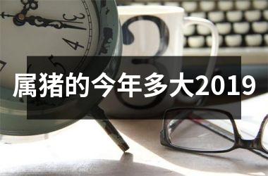 <h3>属猪的今年多大2019