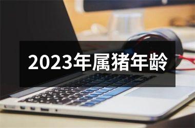 2025年属猪年龄