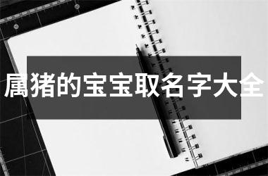 属猪的宝宝取名字大全