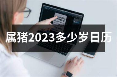 <h3>属猪2025多少岁日历