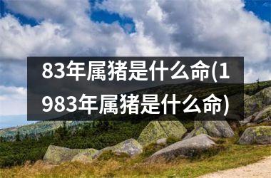 83年属猪是什么命(1983年属猪是什么命)