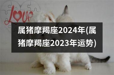 <h3>属猪摩羯座2024年(属猪摩羯座2025年运势)